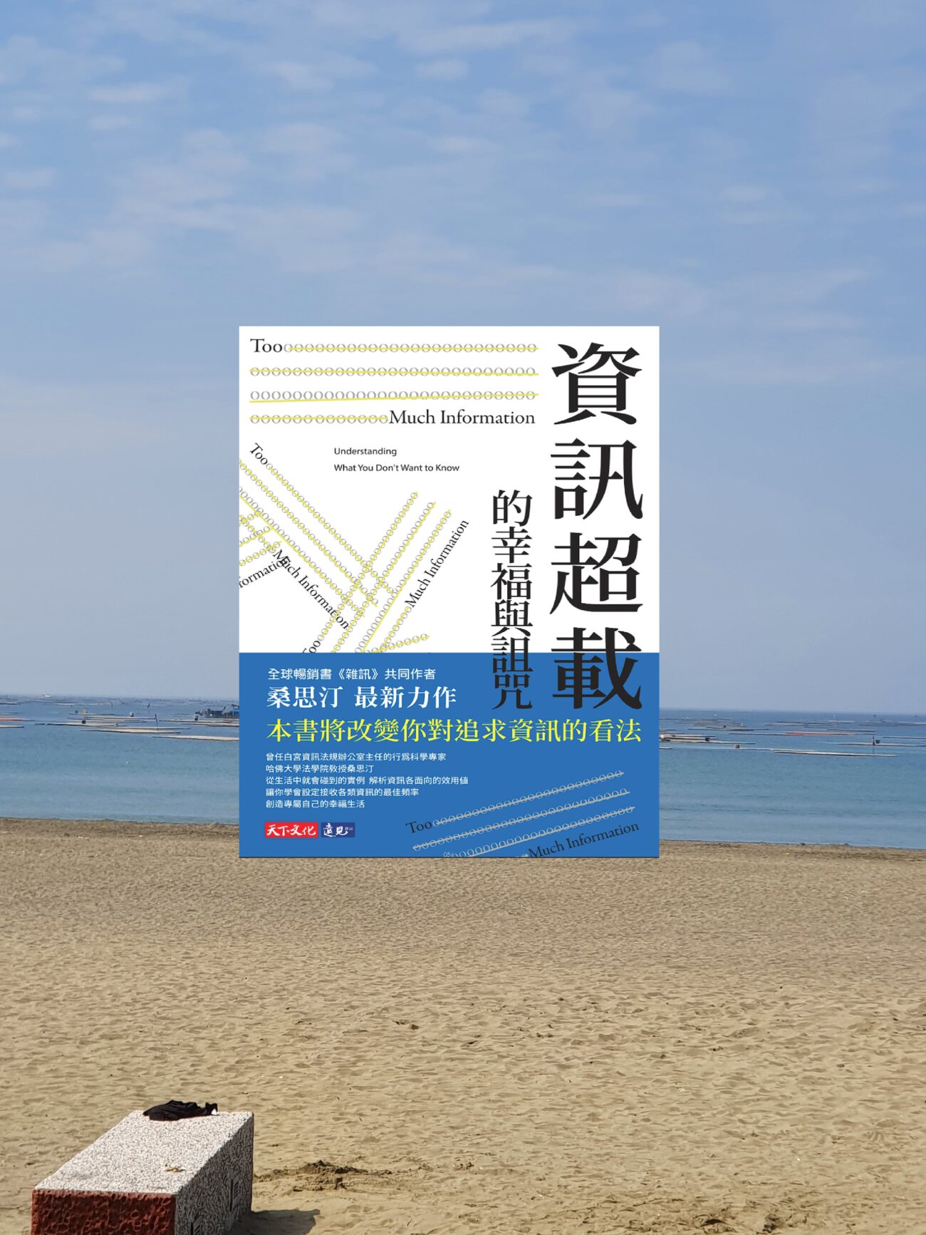 資訊超載的幸福與詛咒封面合成